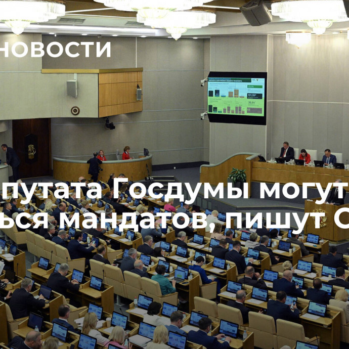 Два депутата Госдумы могут лишиться мандатов, пишут СМИ