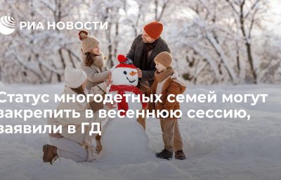 Статус многодетных семей могут закрепить в весеннюю сессию, заявили в ГД