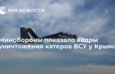 Минобороны показало кадры уничтожения катеров ВСУ у Крыма