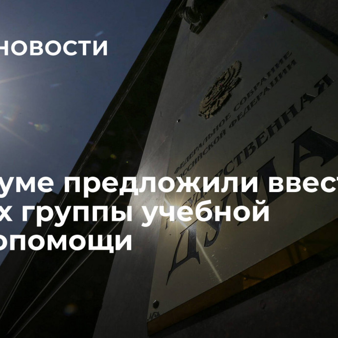 В Госдуме предложили ввести в школах группы учебной взаимопомощи