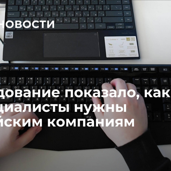 Исследование показало, какие IT-специалисты нужны российским компаниям