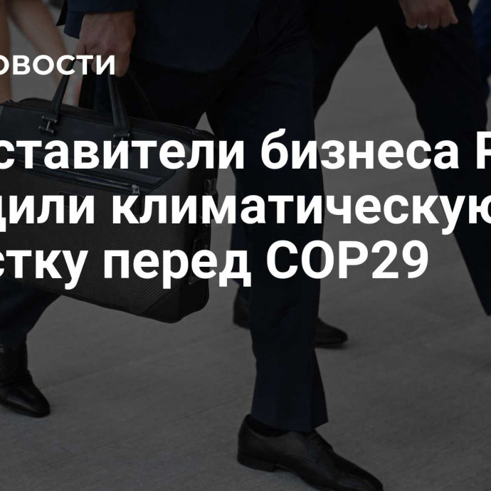 Представители бизнеса России обсудили климатическую повестку перед СОР29