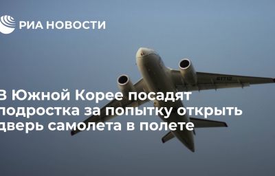 В Южной Корее посадят подростка за попытку открыть дверь самолета в полете