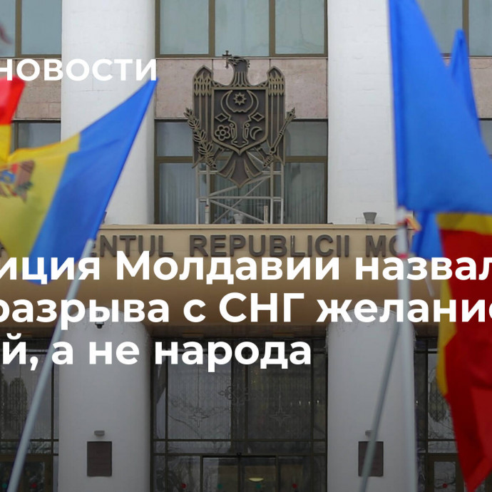 Оппозиция Молдавии назвала идею разрыва с СНГ желанием властей, а не народа