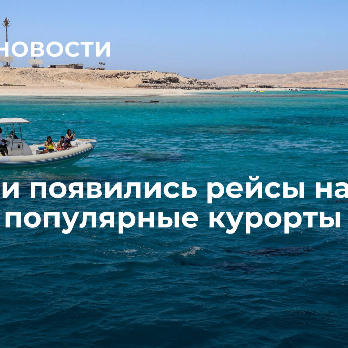 Из Сочи появились рейсы на самые популярные курорты Египта