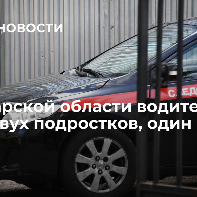 В Самарской области водитель сбил двух подростков, один из них погиб