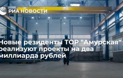 Новые резиденты ТОР "Амурская" реализуют проекты на два миллиарда рублей