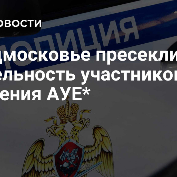 В Подмосковье пресекли деятельность участников движения АУЕ*