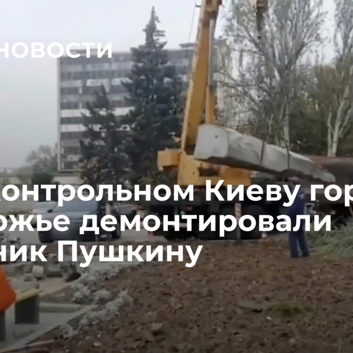 В подконтрольном Киеву городе Запорожье демонтировали памятник Пушкину