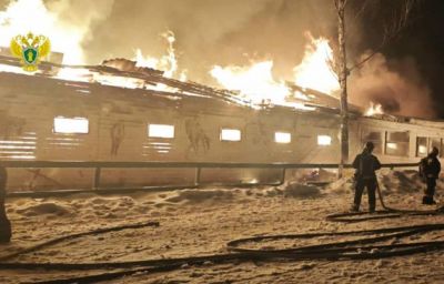 Восемь лошадей погибли при пожаре в конюшне на Лосином острове