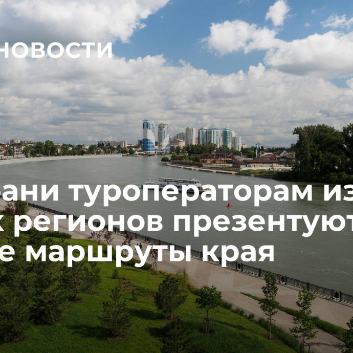 На Кубани туроператорам из других регионов презентуют винные маршруты края