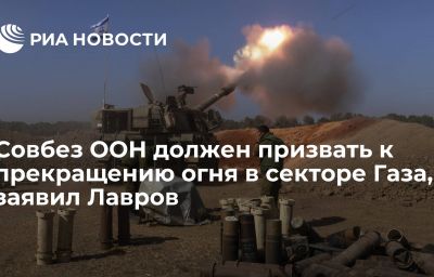 Совбез ООН должен призвать к прекращению огня в секторе Газа, заявил Лавров