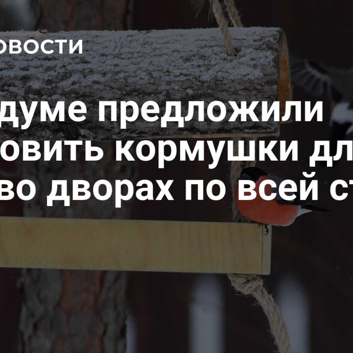 В Госдуме предложили установить кормушки для птиц во дворах по всей стране