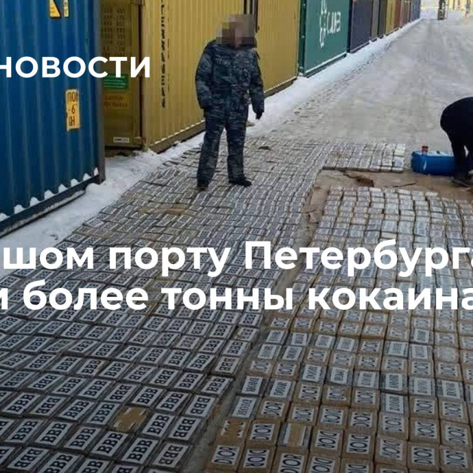 В Большом порту Петербурга изъяли более тонны кокаина