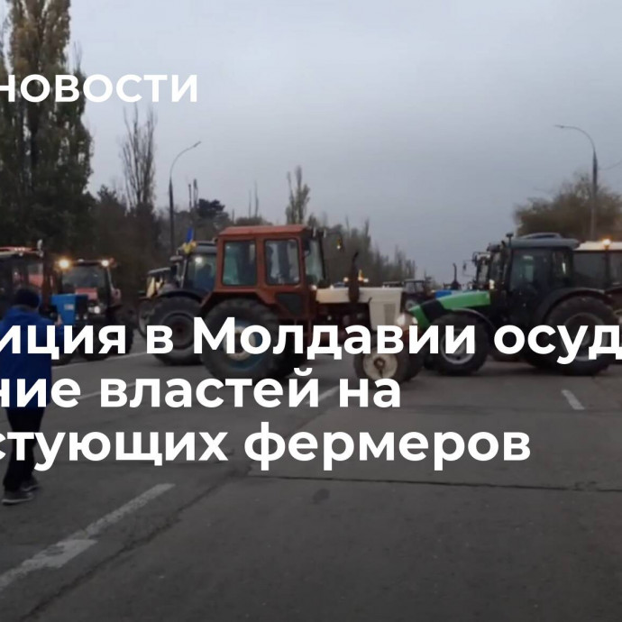 Оппозиция в Молдавии осудила давление властей на протестующих фермеров