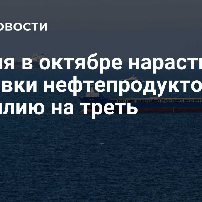 Россия в октябре нарастила поставки нефтепродуктов в Бразилию на треть