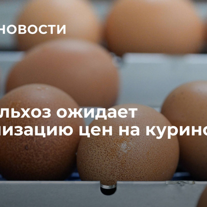 Минсельхоз ожидает стабилизацию цен на куриное яйцо