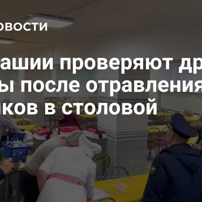 В Чувашии проверяют другие школы после отравления учеников в столовой