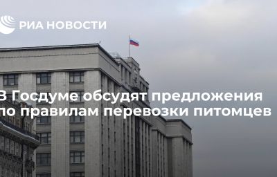 В Госдуме обсудят предложения по правилам перевозки питомцев