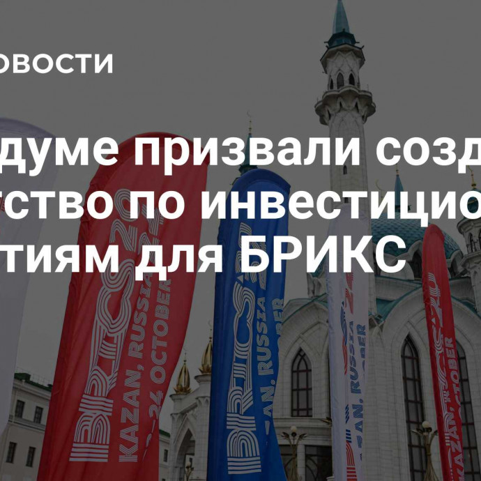 В Госдуме призвали создать Агентство по инвестиционным гарантиям для БРИКС