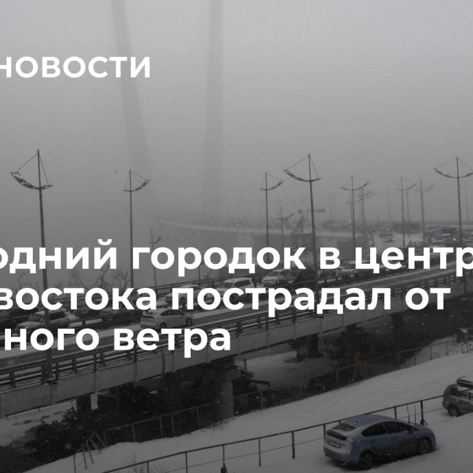 Новогодний городок в центре Владивостока пострадал от ураганного ветра