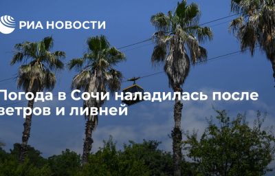 Погода в Сочи наладилась после ветров и ливней