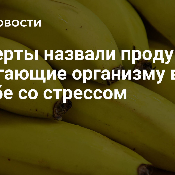 Эксперты назвали продукты, помогающие организму в борьбе со стрессом