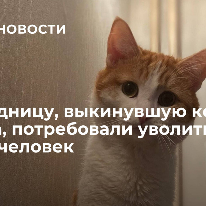 Проводницу, выкинувшую кота Твикса, потребовали уволить 220 тысяч человек