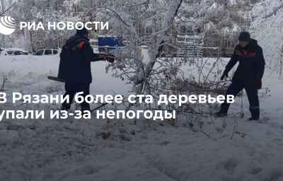 В Рязани более ста деревьев упали из-за непогоды