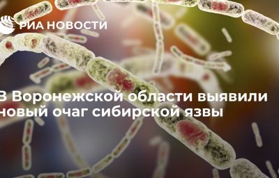 В Воронежской области выявили новый очаг сибирской язвы