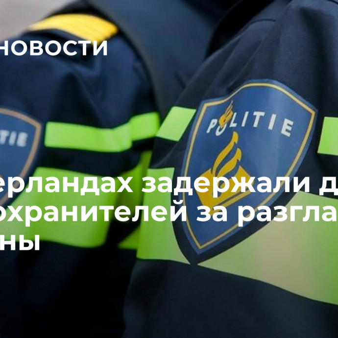 В Нидерландах задержали двух правоохранителей за разглашение гостайны