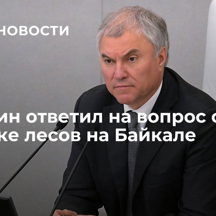 Володин ответил на вопрос о вырубке лесов на Байкале