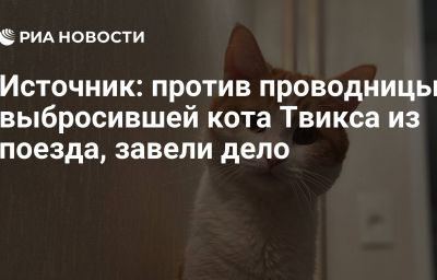 Источник: против проводницы, выбросившей кота Твикса из поезда, завели дело