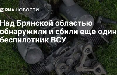 Над Брянской областью обнаружили и сбили еще один беспилотник ВСУ