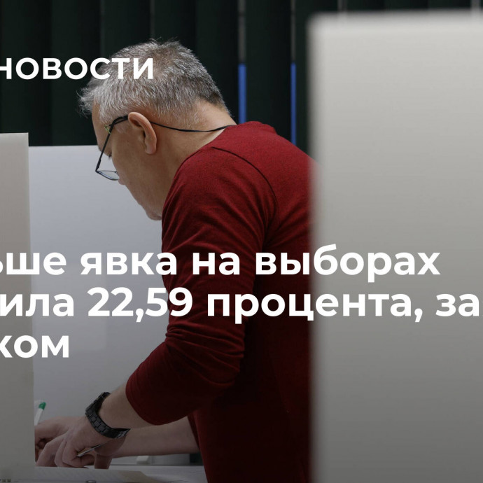 В Польше явка на выборах составила 22,59 процента, заявил избирком