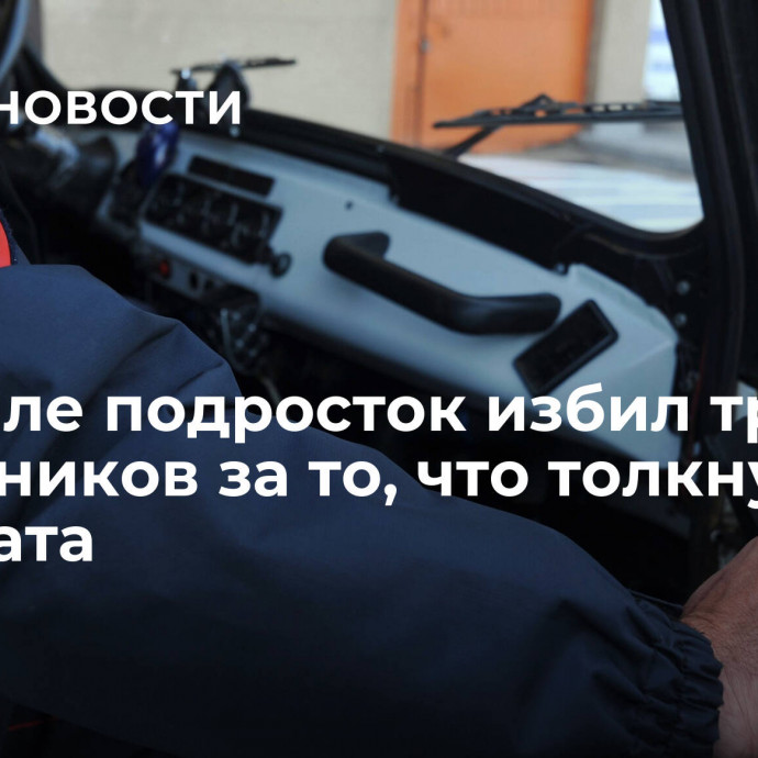 На Урале подросток избил троих школьников за то, что толкнули его брата