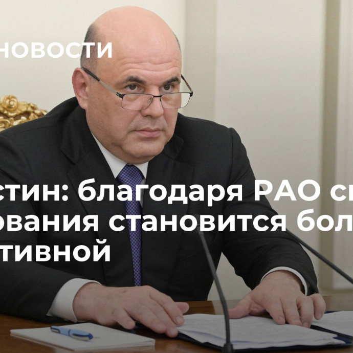 Мишустин: благодаря РАО система образования становится более эффективной