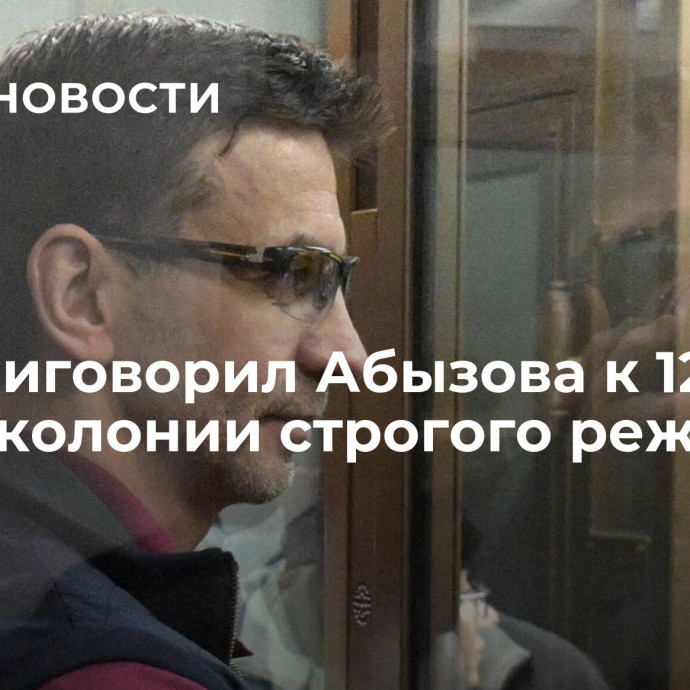 Суд приговорил Абызова к 12 годам колонии строгого режима