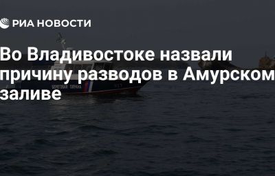 Во Владивостоке назвали причину разводов в Амурском заливе