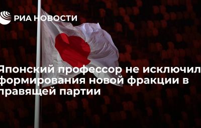 Японский профессор не исключил формирования новой фракции в правящей партии