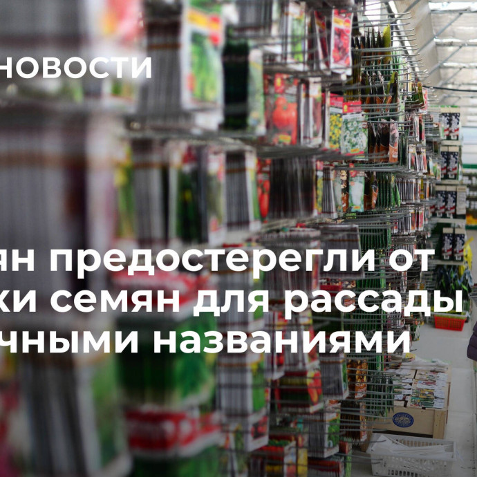 Россиян предостерегли от покупки семян для рассады с необычными названиями