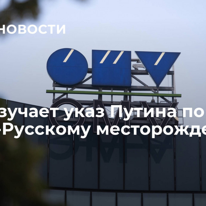 OMV изучает указ Путина по Южно-Русскому месторождению