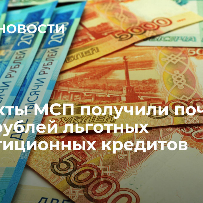 Субъекты МСП получили почти 80 млрд рублей льготных инвестиционных кредитов
