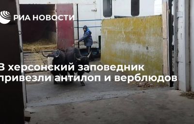 В херсонский заповедник привезли антилоп и верблюдов