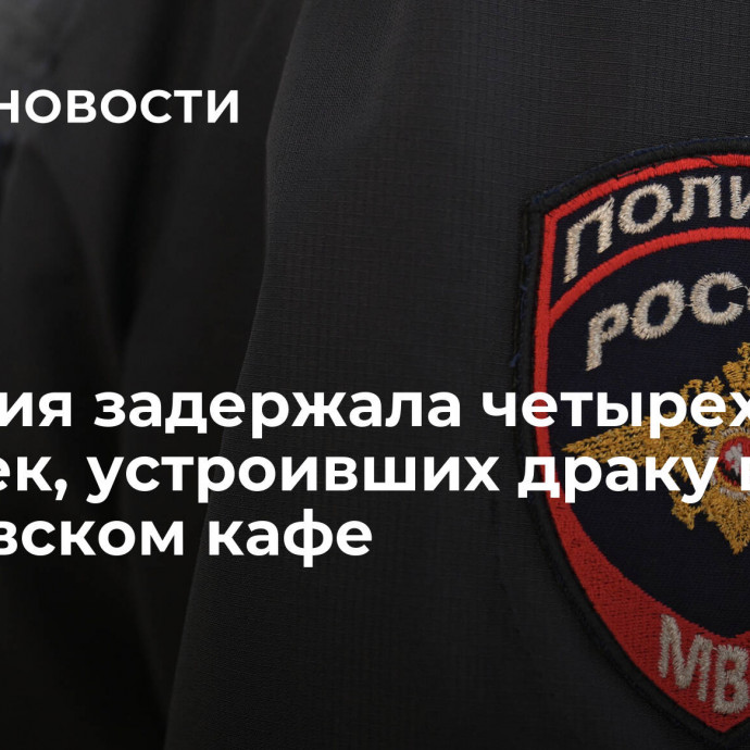 Полиция задержала четырех человек, устроивших драку в московском кафе