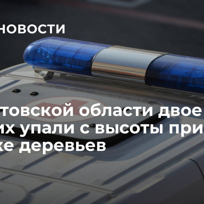 В Саратовской области двое рабочих упали с высоты при обрезке деревьев