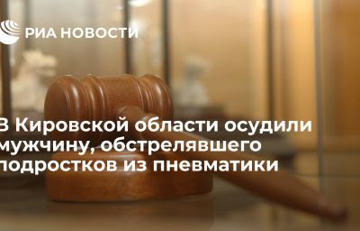 В Кировской области осудили мужчину, обстрелявшего подростков из пневматики