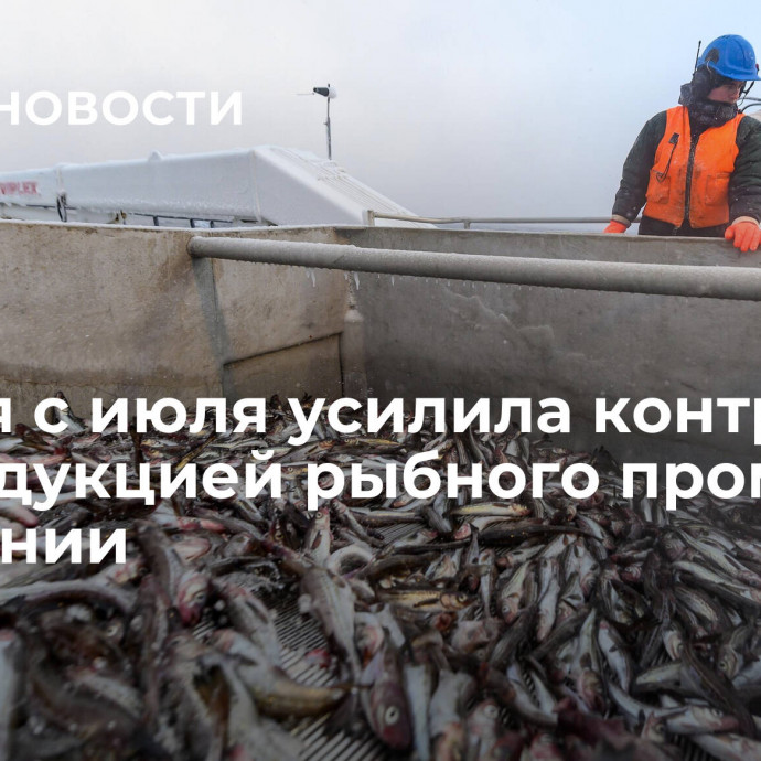 Россия с июля усилила контроль за продукцией рыбного промысла из Японии