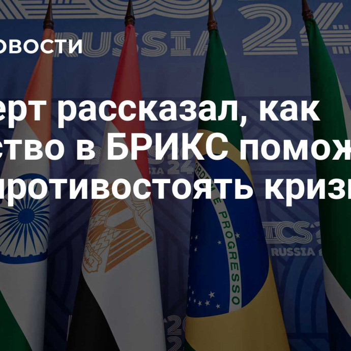 Эксперт рассказал, как членство в БРИКС поможет ОАЭ противостоять кризисам