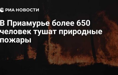 В Приамурье более 650 человек тушат природные пожары